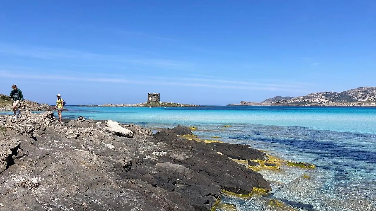I Pescatori di Stelle-L15 SHEDIR Villa Stintino Italia
